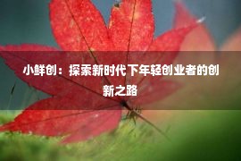 小鲜创：探索新时代下年轻创业者的创新之路