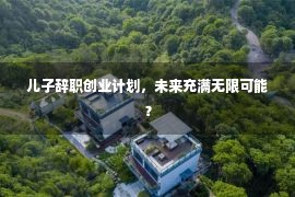 儿子辞职创业计划，未来充满无限可能？