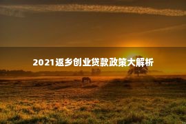 2021返乡创业贷款政策大解析