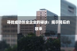 寻找成功创业企业的秘诀：揭示背后的故事