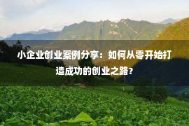 小企业创业案例分享：如何从零开始打造成功的创业之路？