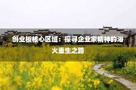 创业板核心区域：探寻企业家精神的浴火重生之路