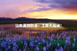 山东离岗创业：工资大揭秘！