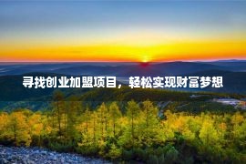 寻找创业加盟项目，轻松实现财富梦想