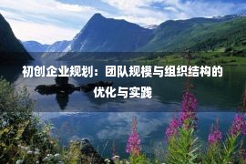 初创企业规划：团队规模与组织结构的优化与实践