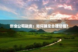 创业公司融资：如何确定合理估值？