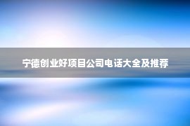 宁德创业好项目公司电话大全及推荐