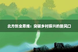 北方创业思维：突破乡村振兴的新风口