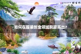 如何在服装创业领域脱颖而出？