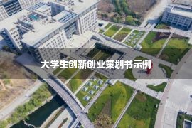 大学生创新创业策划书示例