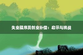 失业程序员创业补偿：启示与挑战