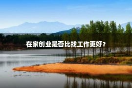 在家创业是否比找工作更好？