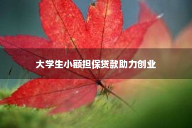 大学生小额担保贷款助力创业