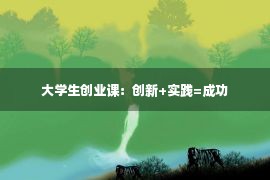 大学生创业课：创新+实践=成功