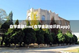 自学金融frm(自学金融知识的app)