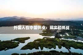 外国人在中国创业：现实和挑战