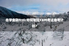 自学金融frm:如何制定FRM考试备考计划？