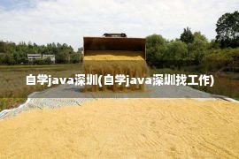 自学java深圳(自学java深圳找工作)