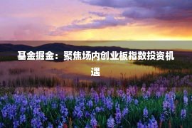 基金掘金：聚焦场内创业板指数投资机遇