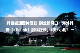 抖音搬运图片赚钱:副业新风口：海外抖音（TikTok）搬运视频，1天1小时！一月3W！（可批量操作）