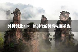 外贸创业2.0：新时代的跨境电商革命