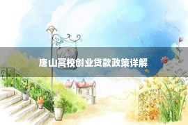 唐山高校创业贷款政策详解