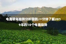 电商明年趋势分析图例:一分钟了解2019年的10个电商趋势