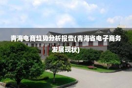 青海电商趋势分析报告(青海省电子商务发展现状)