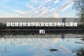 彩虹经济创业项目(彩虹经济有什么赚钱的)