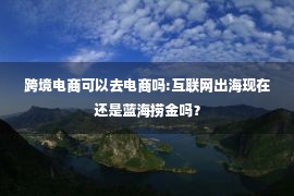 跨境电商可以去电商吗:互联网出海现在还是蓝海捞金吗？