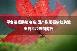 平台选择跨境电商:国产取暖器借助跨境电商平台热销海外