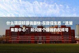 什么项目好赚钱最快:在微信生态“流量集散中心” 如何做个赚钱的视频号