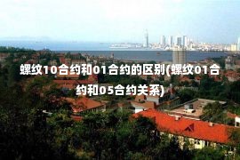 螺纹10合约和01合约的区别(螺纹01合约和05合约关系)