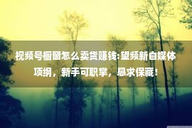 视频号橱窗怎么卖货赚钱:望频新自媒体项纲，新手可职掌，恳求保藏！