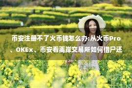 币安注册不了火币钱怎么办:从火币Pro、OKEx、币安看离岸交易所如何借尸还魂