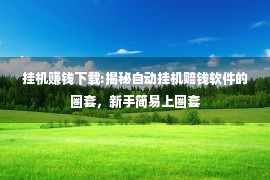 挂机赚钱下载:揭秘自动挂机赔钱软件的圈套，新手简易上圈套