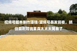 视频号脚本制作赚钱:望频号暴发前夜，抓住盈利赔钱果真太太太简易了