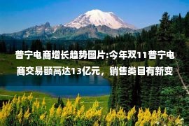 普宁电商增长趋势图片:今年双11普宁电商交易额高达13亿元，销售类目有新变化！