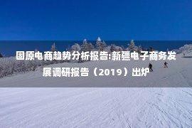 固原电商趋势分析报告:新疆电子商务发展调研报告（2019）出炉