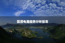 固原电商趋势分析报告