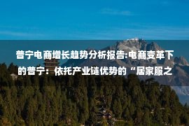 普宁电商增长趋势分析报告:电商变革下的普宁：依托产业链优势的“居家服之都”