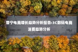 普宁电商增长趋势分析报告:3C数码电商消费趋势分析