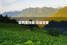 团购奥特曼:百城百夜