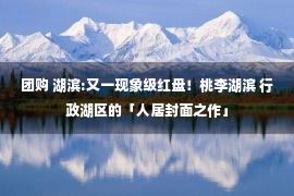 团购 湖滨:又一现象级红盘！桃李湖滨 行政湖区的「人居封面之作」