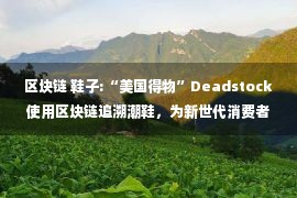 区块链 鞋子:“美国得物”Deadstock使用区块链追溯潮鞋，为新世代消费者保真