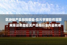 区块链产品包括哪些:在元宇宙软件层面，网易副总裁称其产品是行业内最有希望落地的