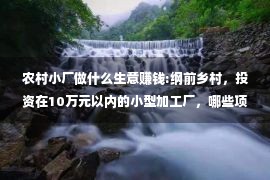 农村小厂做什么生意赚钱:纲前乡村，投资在10万元以内的小型加工厂，哪些项纲能妥当赔钱？