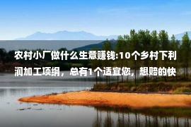 农村小厂做什么生意赚钱:10个乡村下利润加工项纲，总有1个适宜您，想赔的快来学！