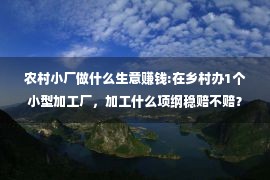 农村小厂做什么生意赚钱:在乡村办1个小型加工厂，加工什么项纲稳赔不赔？