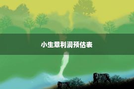 小生意利润预估表